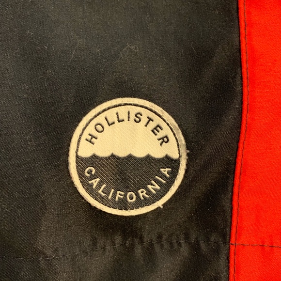 Hollister Swim Trunks - Picture 2 of 3